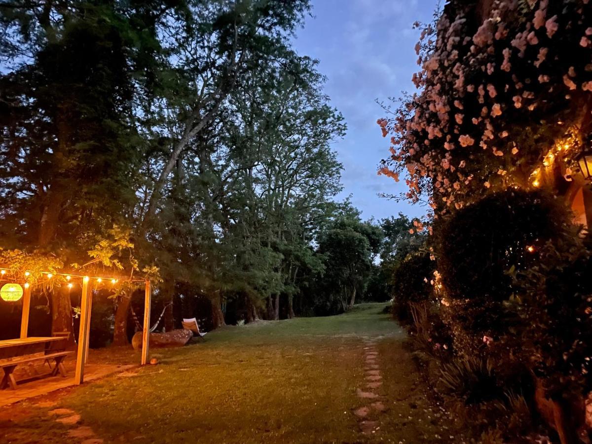 Collina Blu Panzió Bolsena Kültér fotó