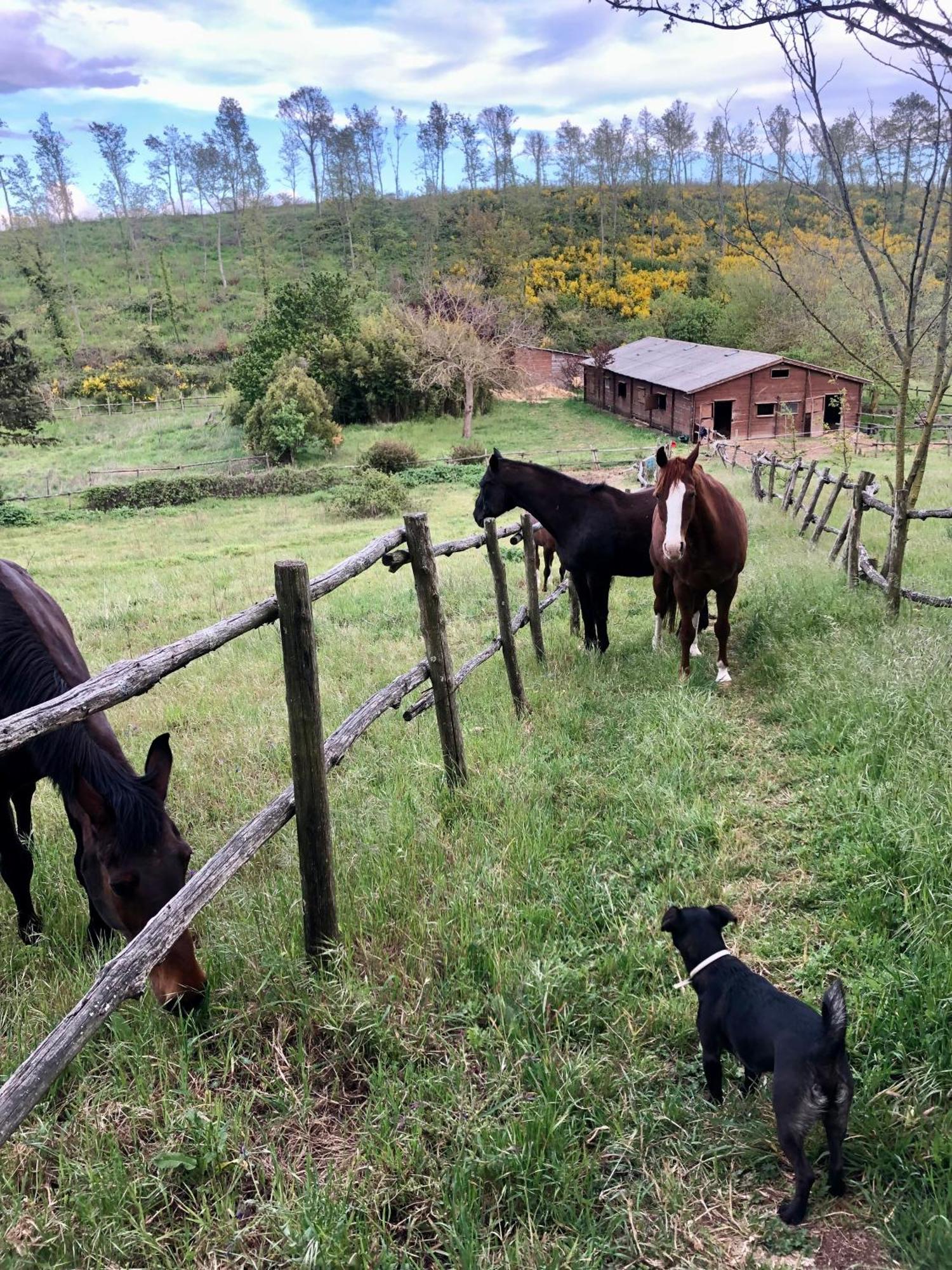 Collina Blu Panzió Bolsena Kültér fotó