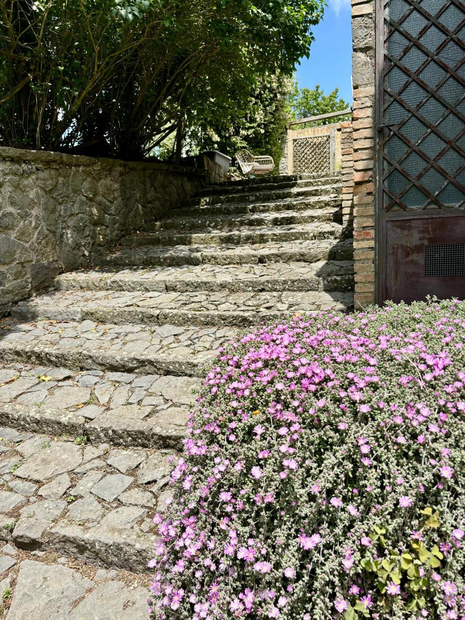 Collina Blu Panzió Bolsena Kültér fotó