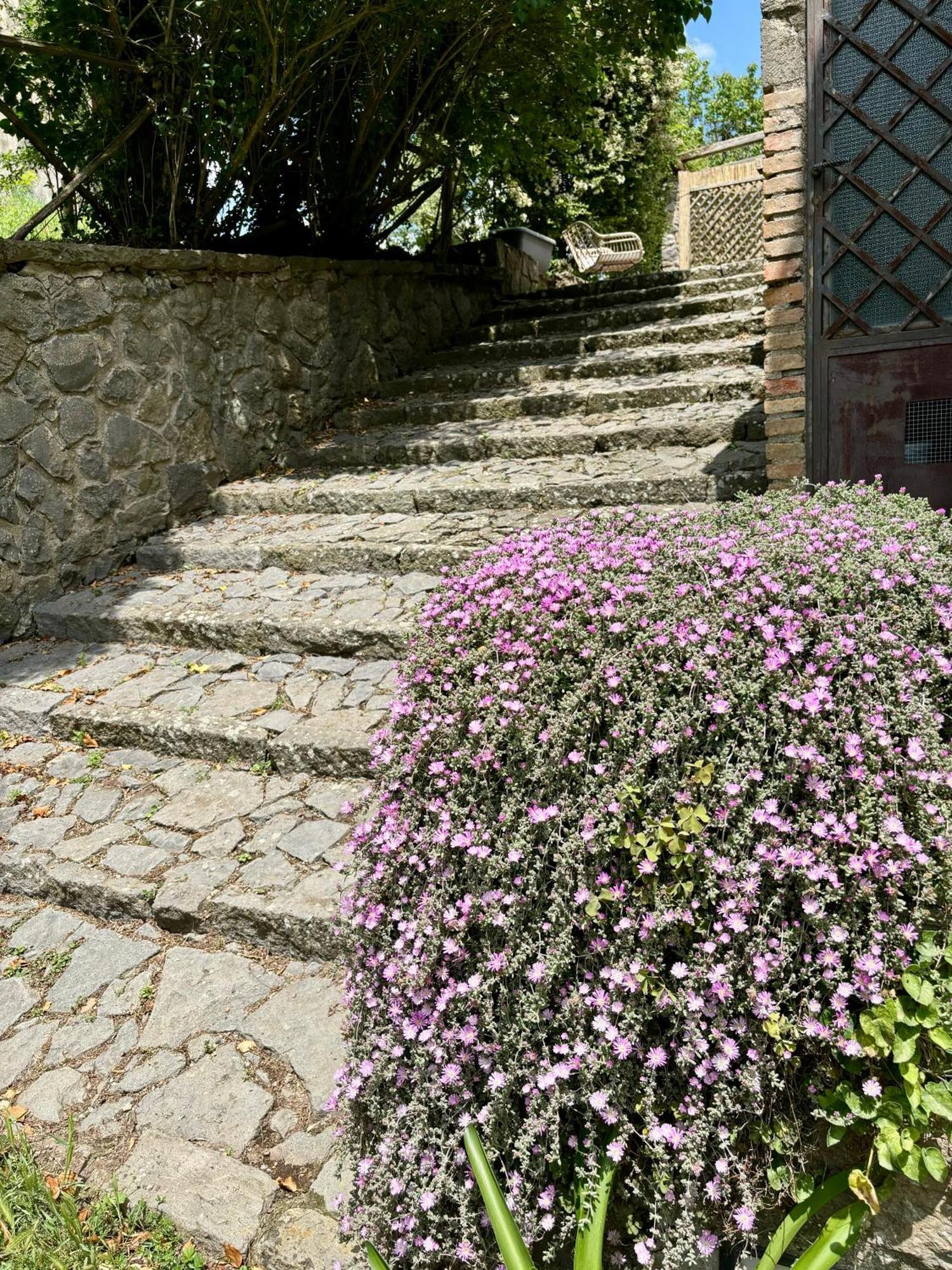 Collina Blu Panzió Bolsena Kültér fotó